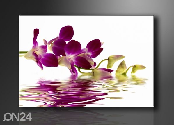 Настенная картина Punane orhidee 60x80 см