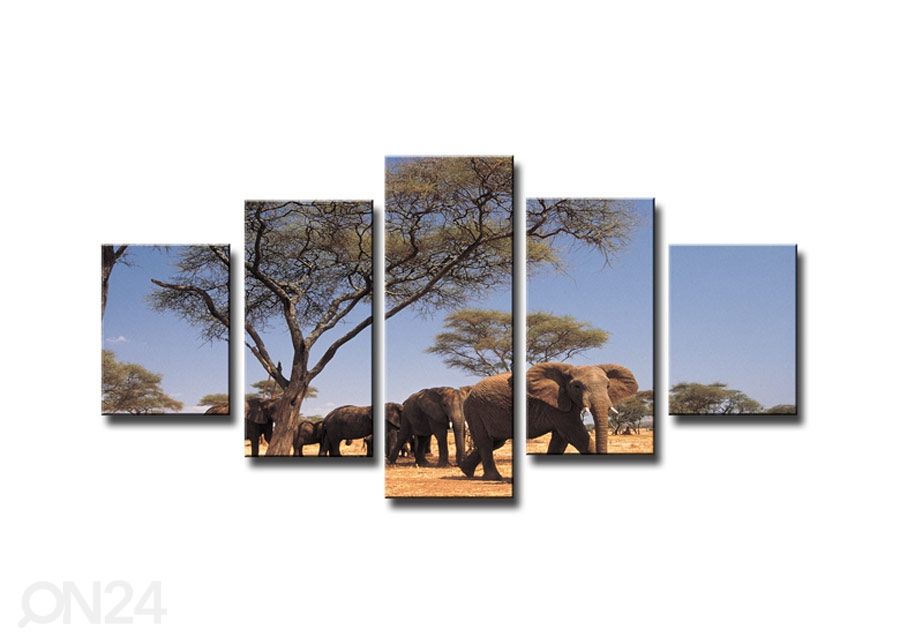 Картина из 5-частей Слон увеличить