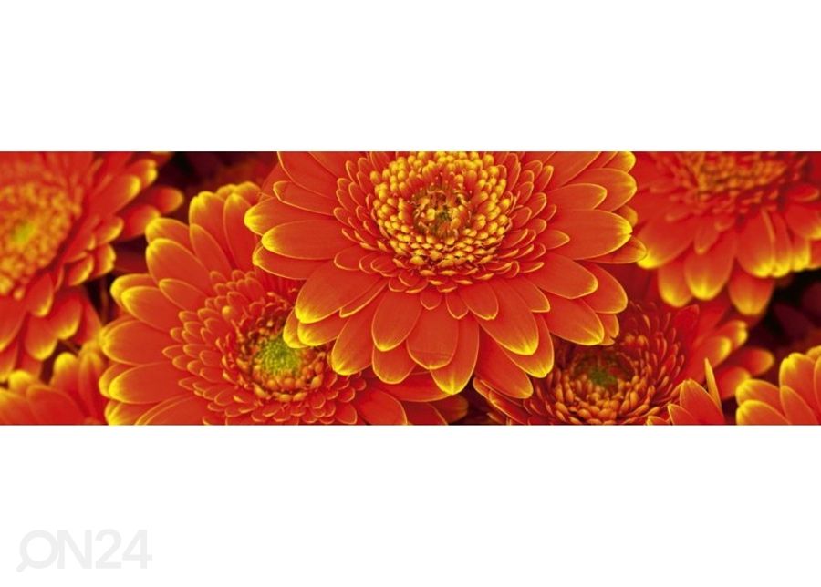 Кухонный фартук Gerbera 180х60 см увеличить