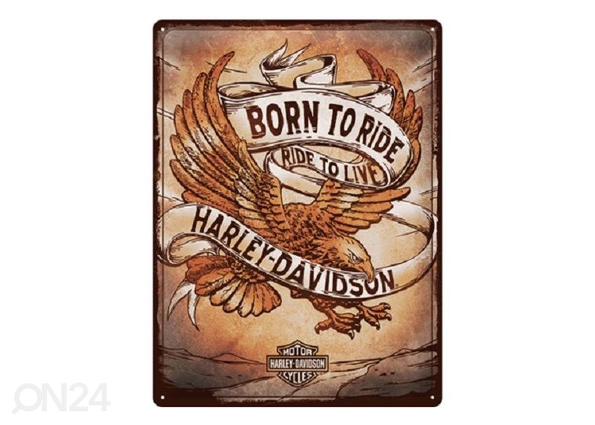 Металлический постер в ретро-стиле Harley Davidson - Born to Ride Eagle 30x40 cm увеличить