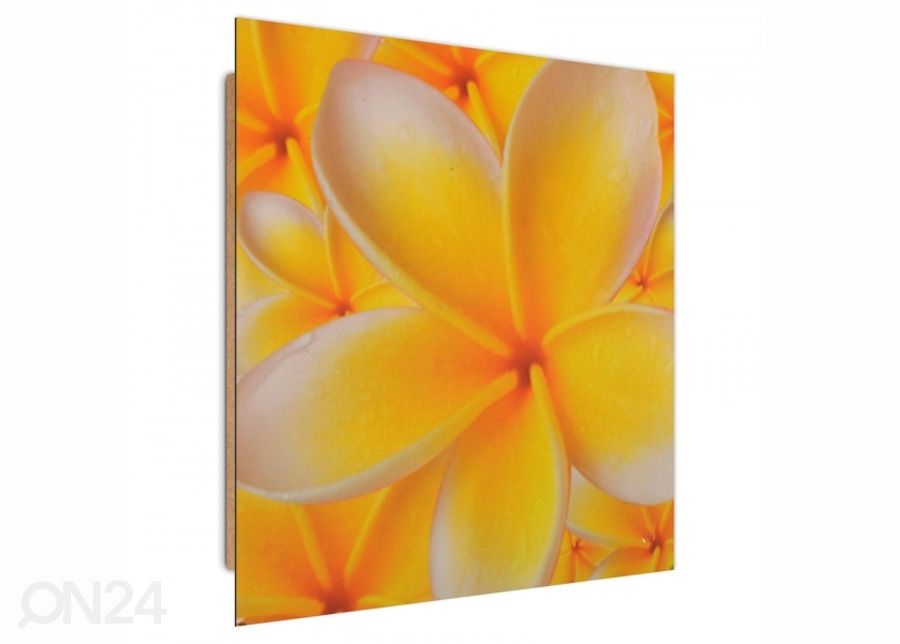 Настенная картина Frangipani flower 3D 30x30 см увеличить