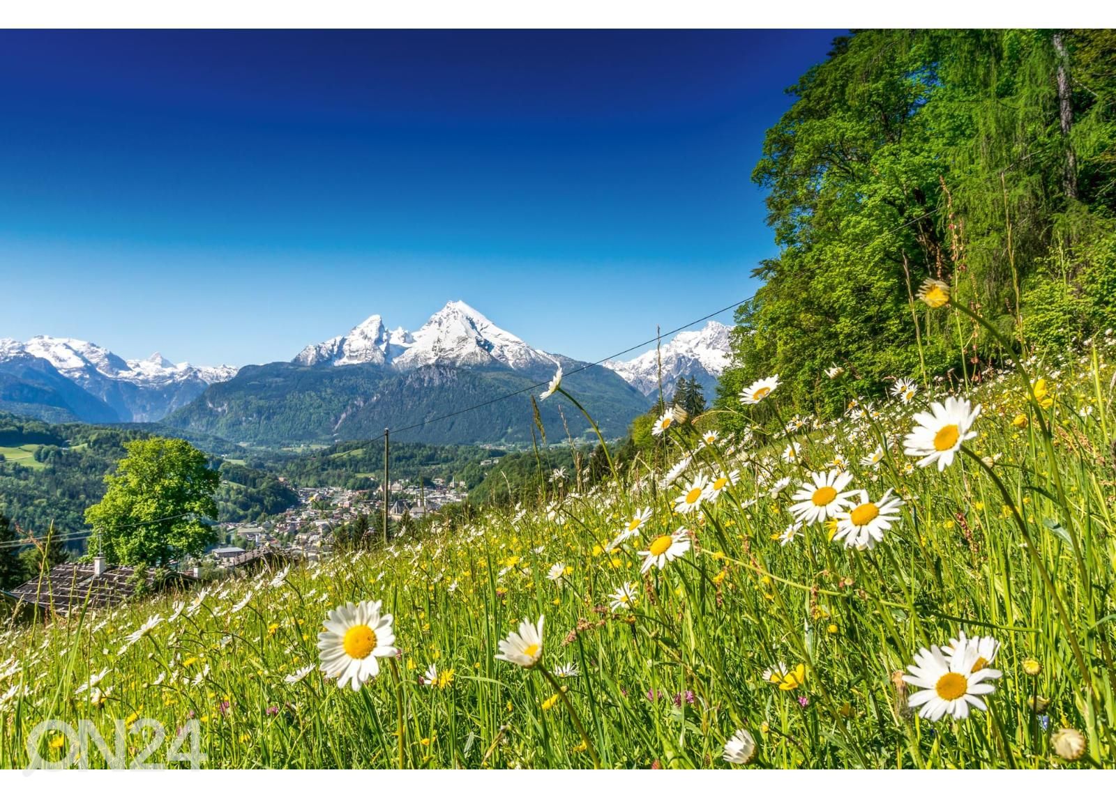 Флизелиновые фотообои Alpine Landscape увеличить