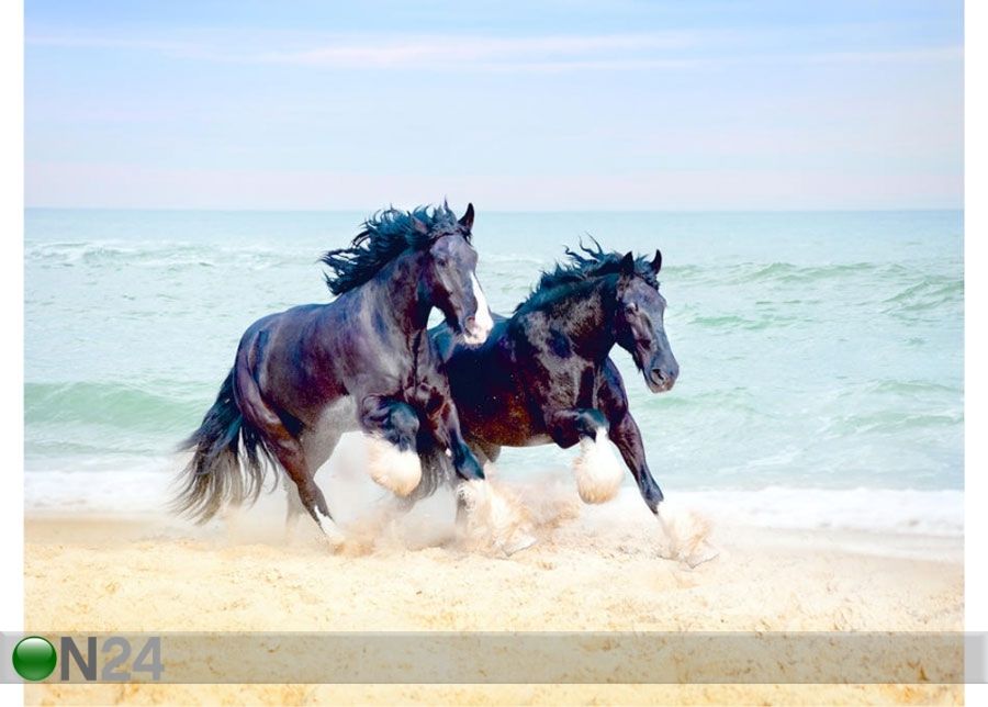 Флизелиновые фотообои Horses 360x270 cm увеличить