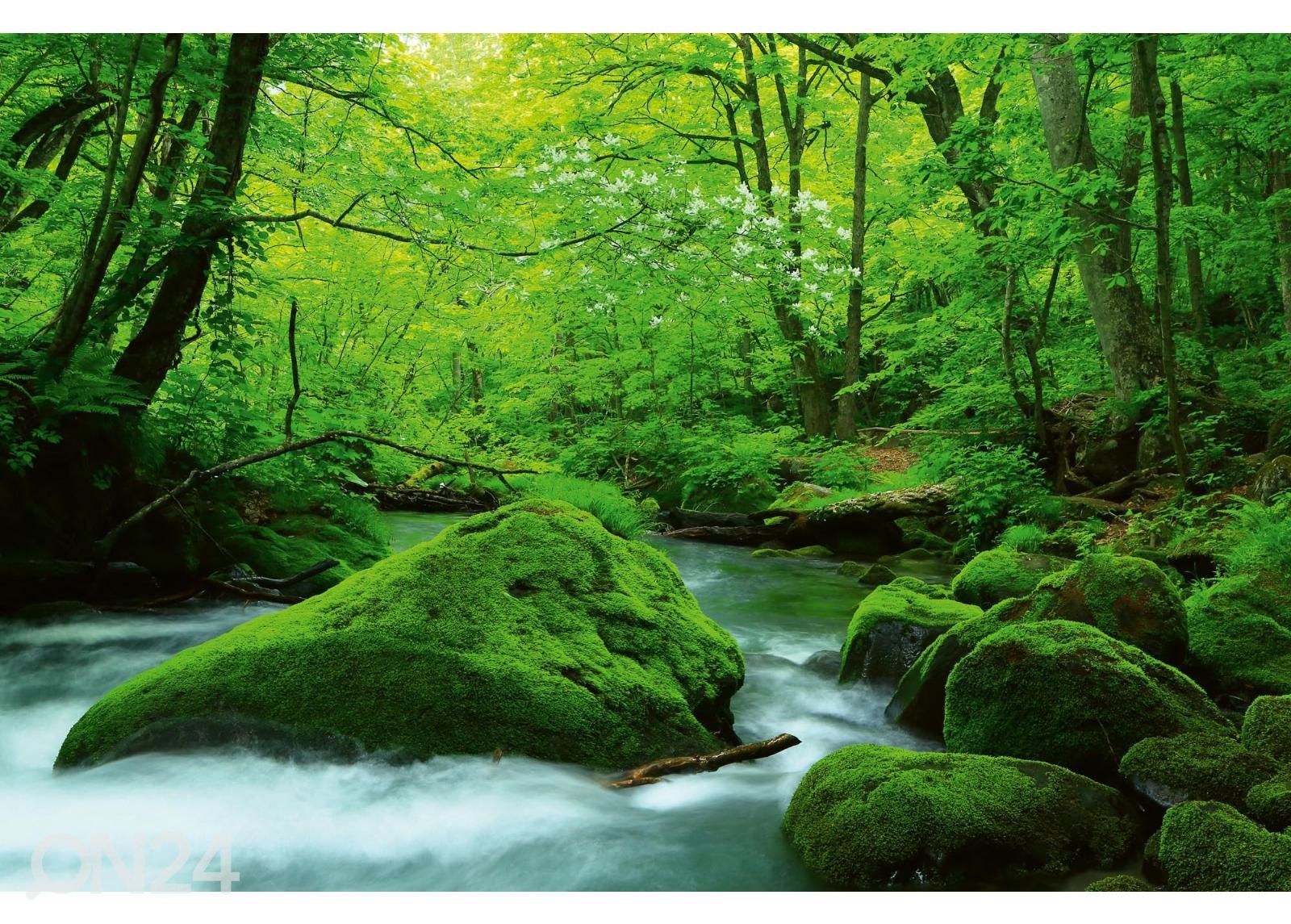 Флизелиновые фотообои Stream In Japan увеличить