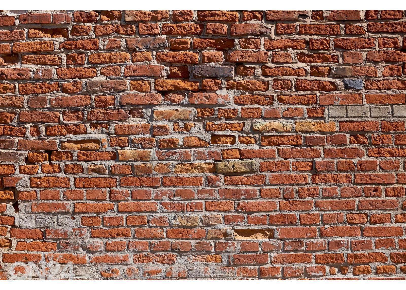 Флизелиновые фотообои Texture Of An Old Brick Wall увеличить