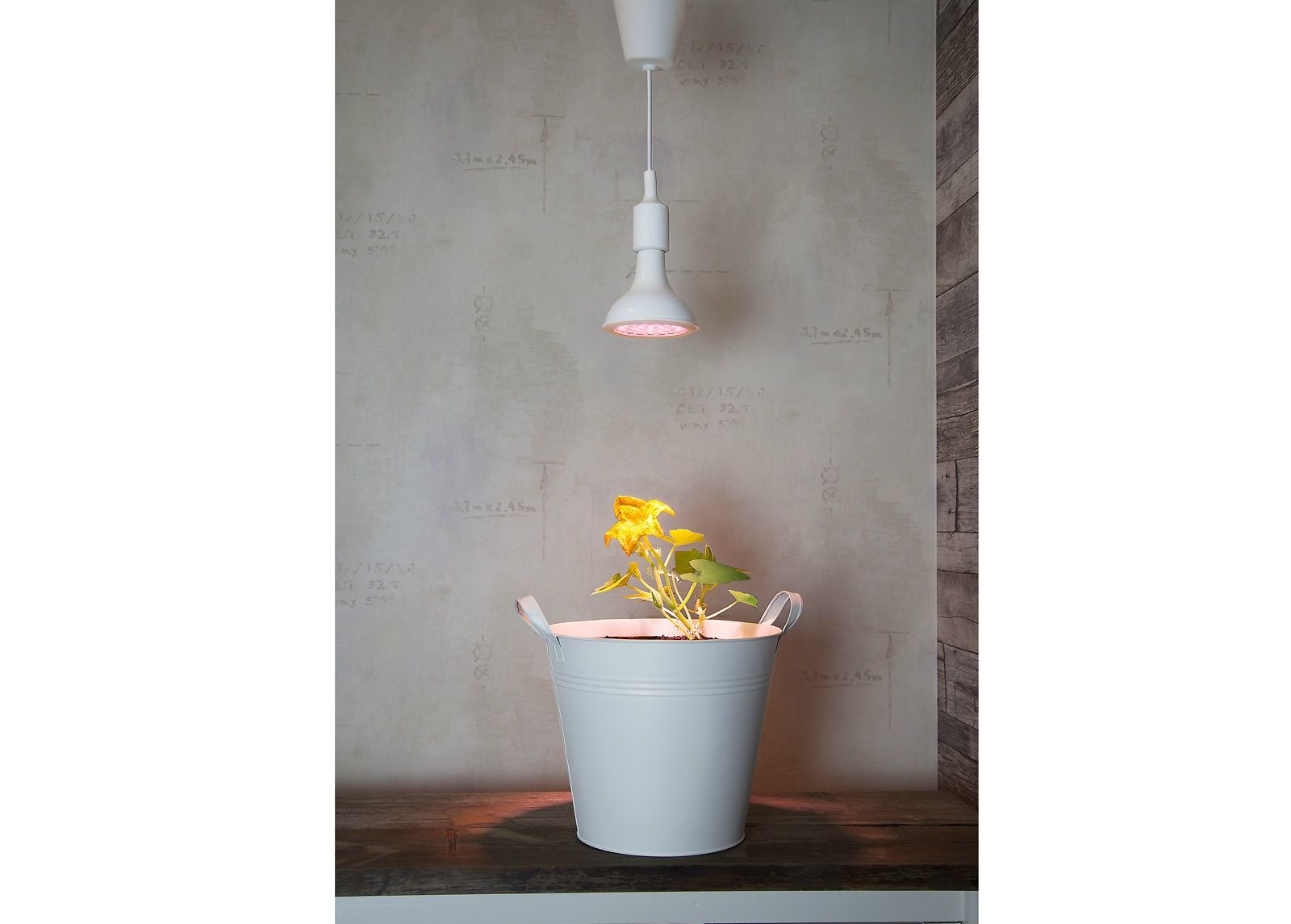 LED лампа для растений увеличить
