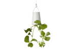 Boskke Sky Planter Ceramic - перевернутый цветочный горшок PG-38514