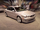 Картина Jaguar 53x40 см