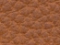 Cognac/11
