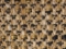 Murad T3324