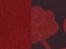 Scarlet 06 24k2