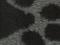 Grey Paw 2