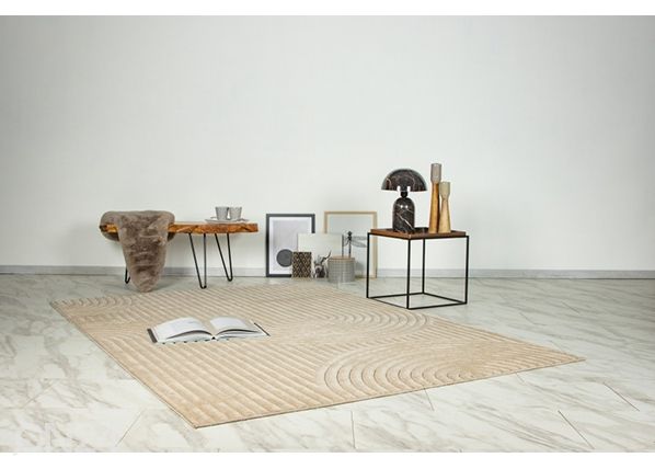 Ковер Viva Beige 200x290 см