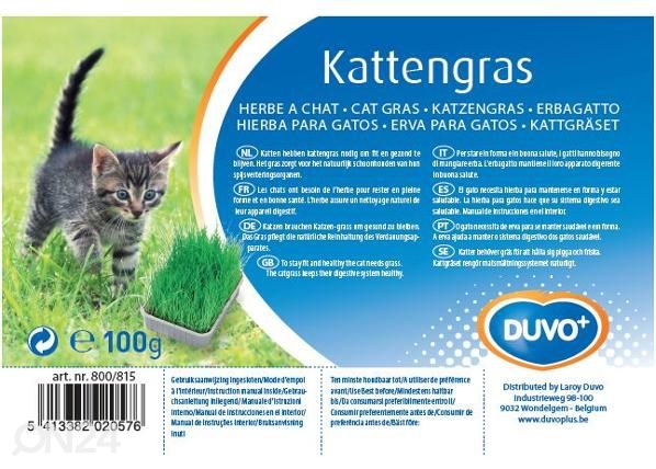 Кошачья трава 100 г