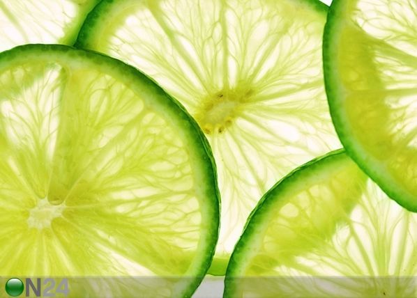Флизелиновые фотообои Lime 360x270 см
