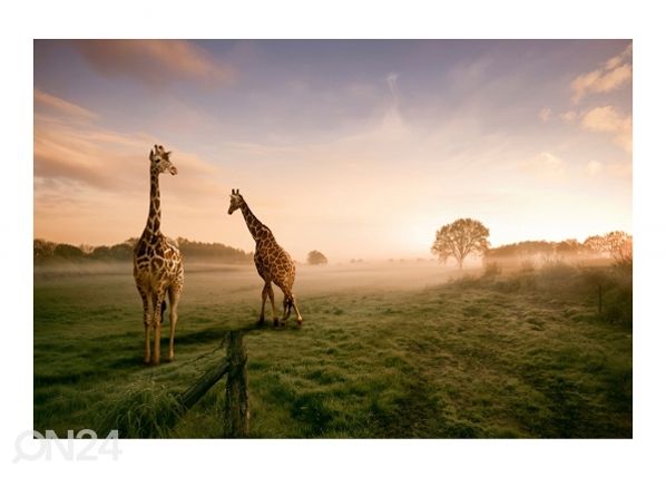 Флизелиновые фотообои Surreal Giraffe 190x288 cm