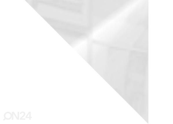 Шкаф-купе 250 cm + LED
