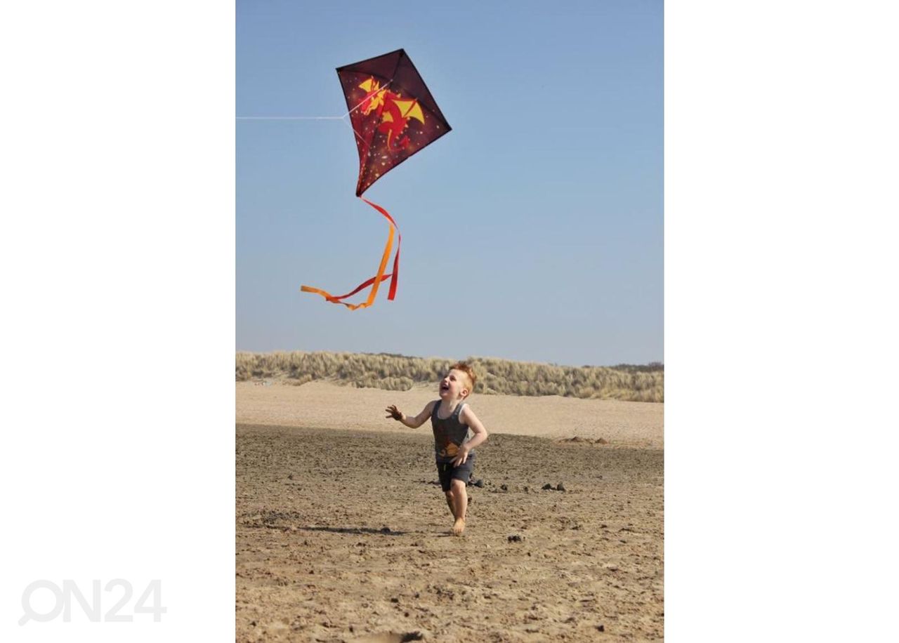 Воздушный змей Diamond Kite Dragon fly увеличить