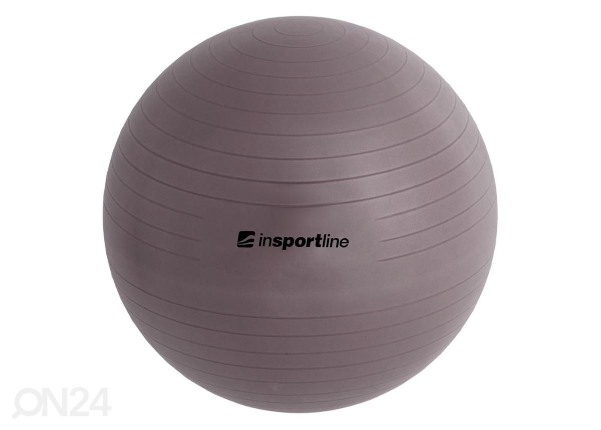 Гимнастический мяч Top Ball 65 см inSPORTline увеличить