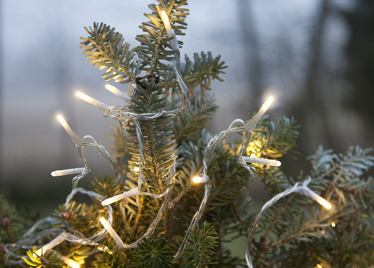 Гирлянда Micro LED увеличить