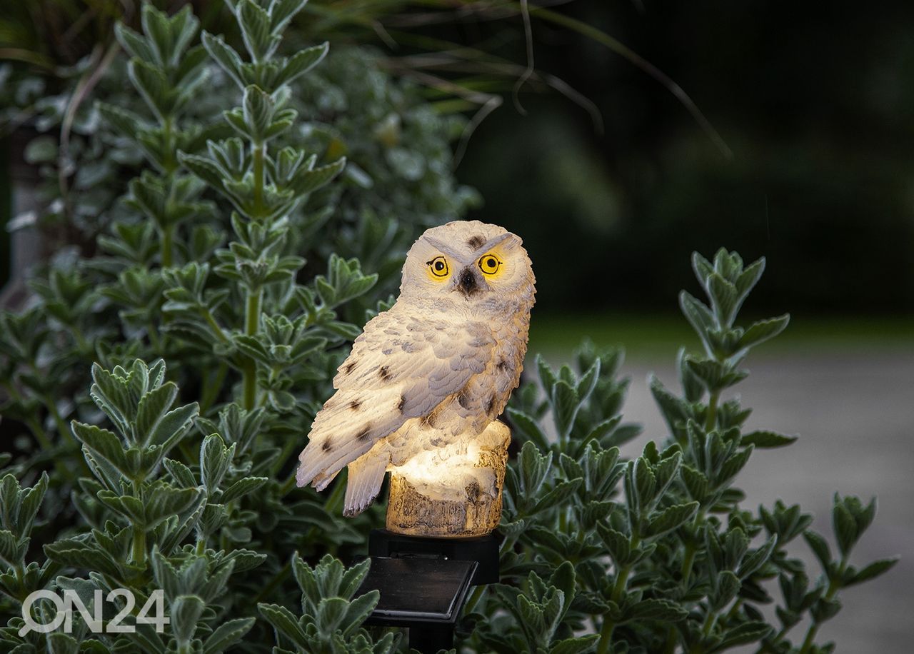 Декорация с солнечной панелью Owl увеличить
