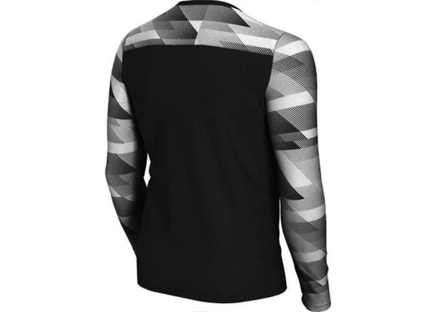 Детская вратарская рубашка Nike Dry Park IV JSY LS JR CJ6072-010 увеличить