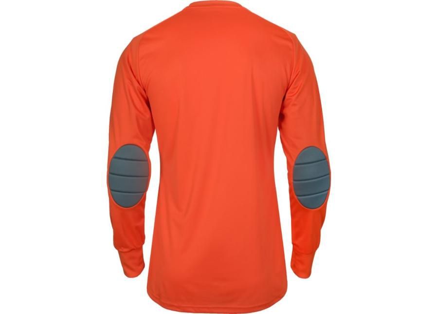 Детская вратарская футболка adidas Assita 17 Junior AZ5398 увеличить