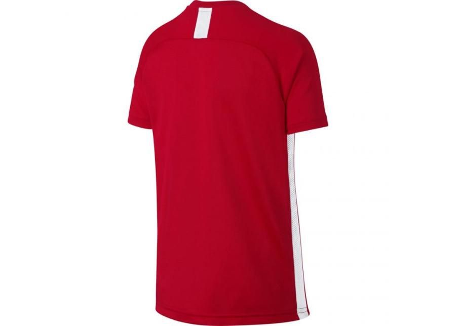 Детская спортивная футболка Nike B Dry Academy SS Junior AO0739-657 увеличить
