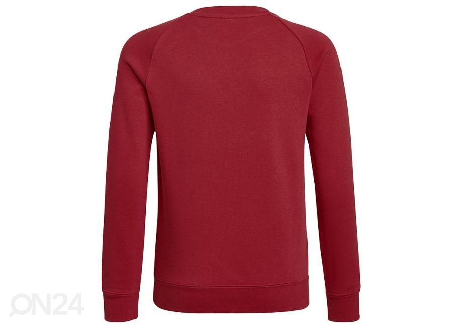 Детская толстовка Adidas Arsenal FC Crew Sweat увеличить