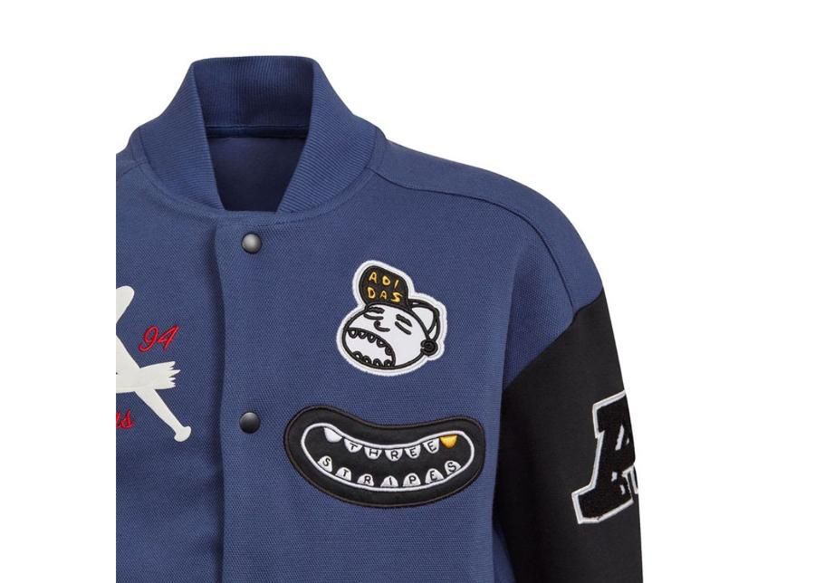 Детская толстовка Adidas Collegiate Jr FL2808 увеличить