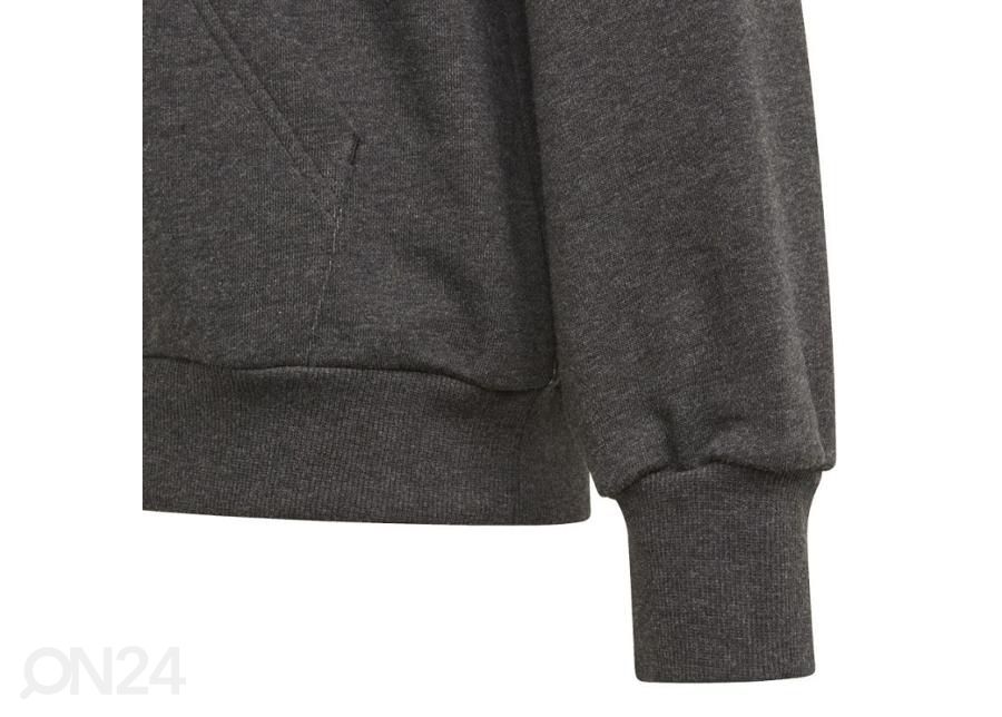 Детская толстовка Adidas Girls Bos Hoodie увеличить