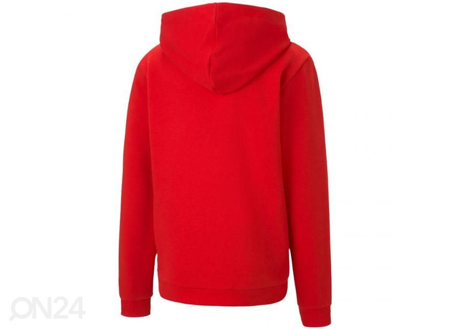 Детская толстовка Puma teamGOAL 23 Casuals увеличить