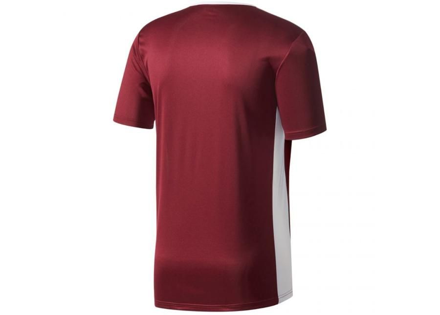 Детская футболка adidas ENTRADA 18 Jr CD8430 увеличить