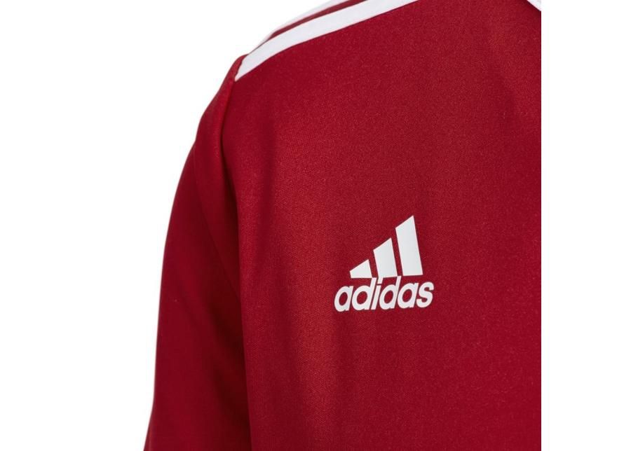 Детская футболка adidas Entrada 18 Jr CF1050 увеличить