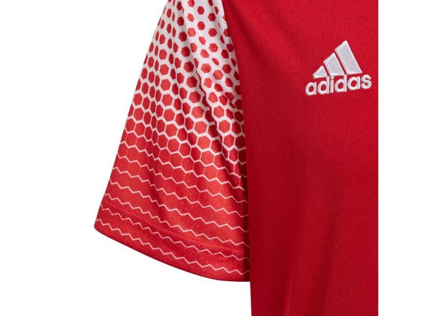 Детская футболка adidas Regista 20 Jr FI4565 увеличить