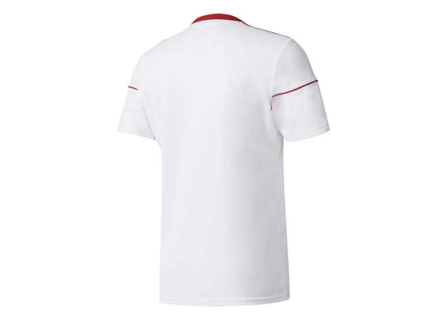 Детская футболка adidas Squadra 17 Junior BJ9181 увеличить
