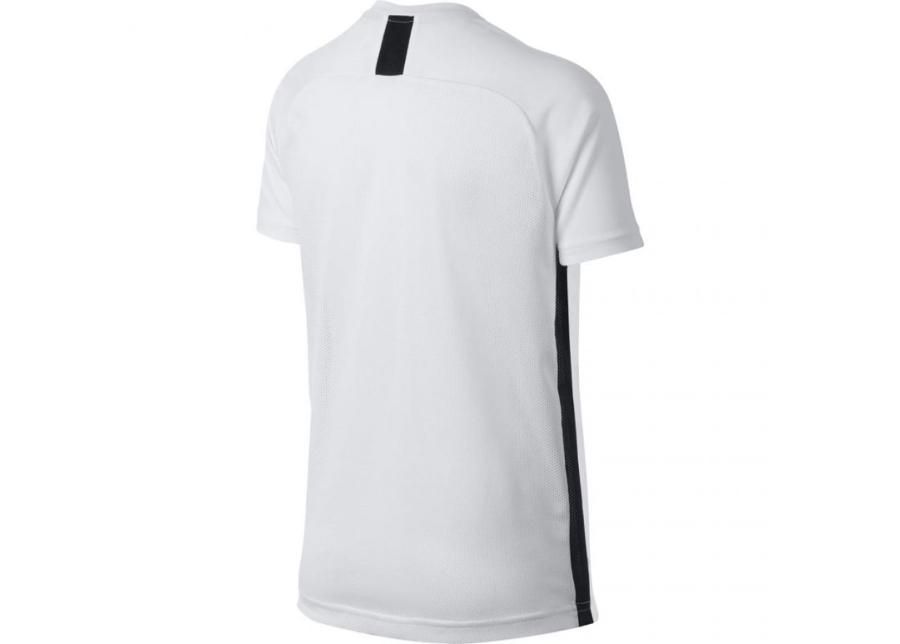 Детская футболка Nike B Dry Academy SS Junior AO0739-100 увеличить