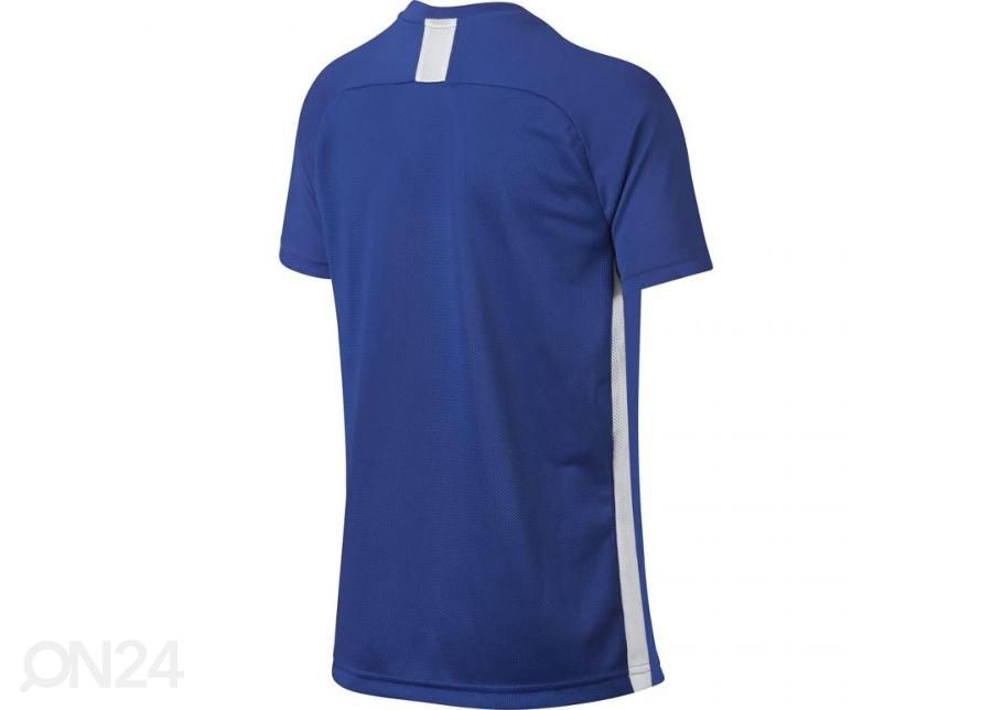 Детская футболка Nike B Dry Academy SS Junior AO0739-480 увеличить