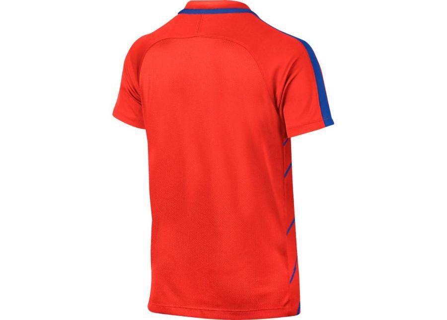 Детская футболка Nike Dry Squad 833008-852 увеличить