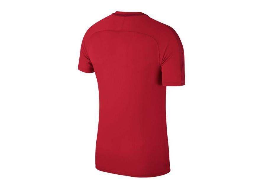 Детская футболка Nike JR Academy 18 Jr 893750-657 увеличить
