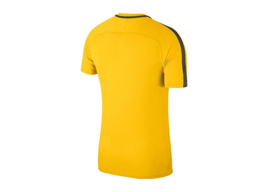 Детская футболка Nike JR Academy 18 Jr 893750-719 увеличить