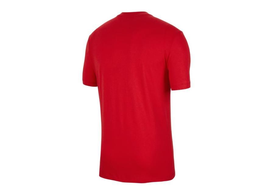 Детская футболка Nike Polska Crest Jr CU1212-611 увеличить
