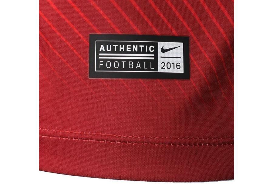 Детская футболка Nike Polska Youth Away Supporters Tee Junior 846807-611 увеличить