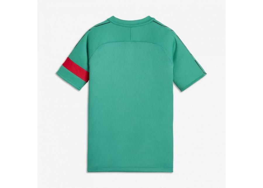 Детская футбольная рубашка Nike Dry Academy CR7 Junior 894870-348 увеличить