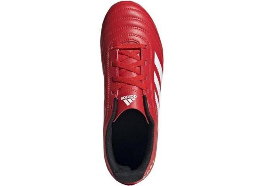 Детские футбольные бутсы adidas Copa 20.4 FG JR EF1919 увеличить