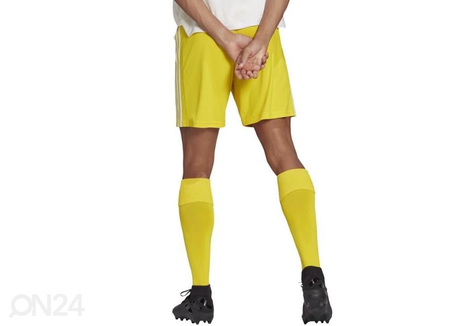 Детские футбольные шорты Adidas Squadra 21 Short M GN5772 увеличить