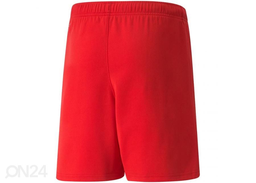 Детские футбольные шорты Puma teamRISE Short увеличить