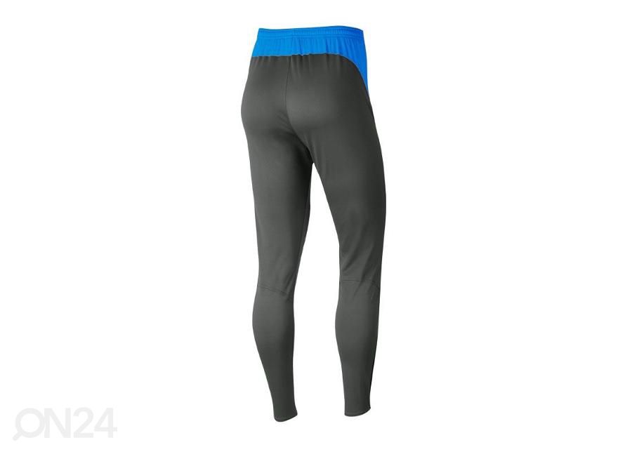 Длинные тренировочные рейтузы Nike Dry Academy Pro W BV6934-060 увеличить