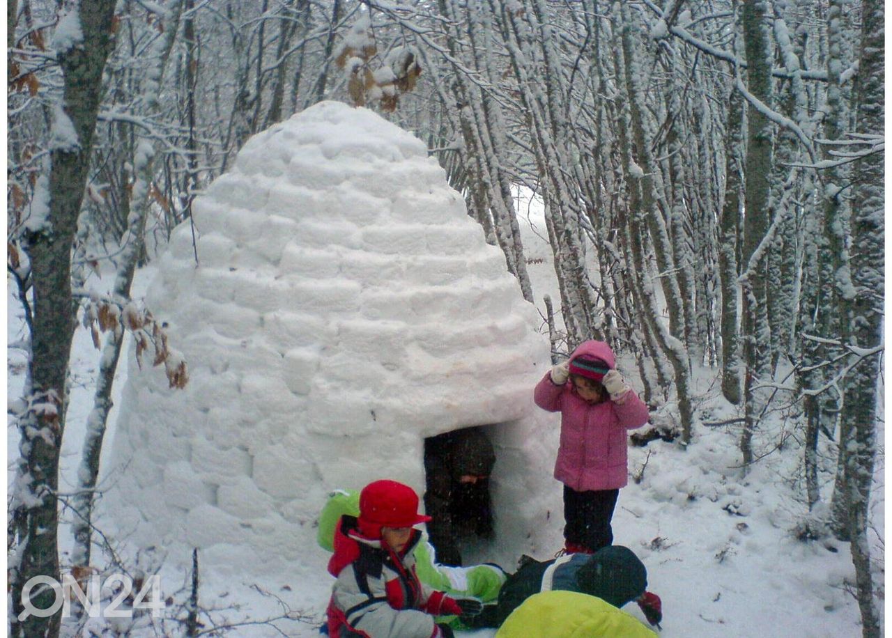 Изготовитель ледяных кирпичей Igloo Maker увеличить