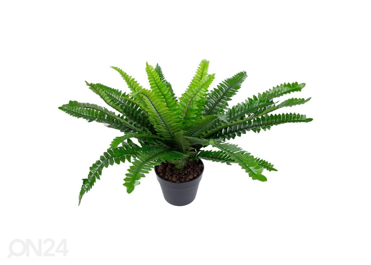 Искусственное растение Boston fern 60 см увеличить